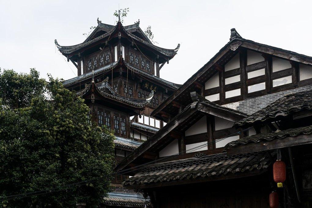 一抹“荧光绿” 温暖这座城